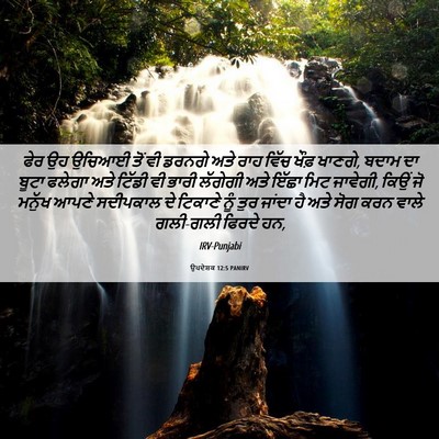 Picture 06 - ਉਪਦੇਸ਼ਕ 12:5 PANIRV - ਫੇਰ ਉਹ ਉਚਿਆਈ ਤੋਂ ਵੀ - Bible Verse Picture
