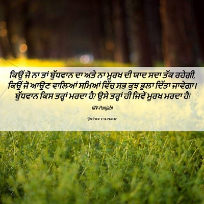 Picture 06 - ਉਪਦੇਸ਼ਕ 2:16 PANIRV - ਕਿਉਂ ਜੋ ਨਾ ਤਾਂ - Bible Verse Picture