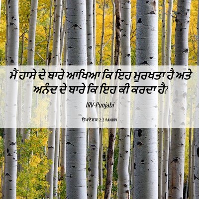 Picture 06 - ਉਪਦੇਸ਼ਕ 2:2 PANIRV - ਮੈਂ ਹਾਸੇ ਦੇ ਬਾਰੇ - Bible Verse Picture