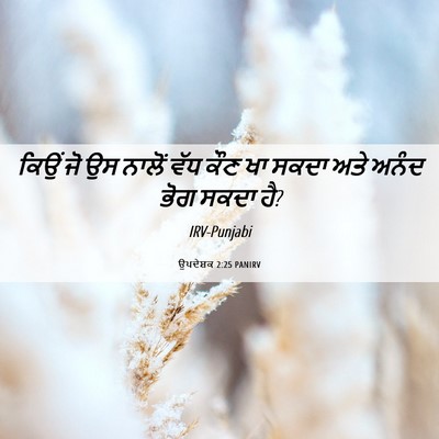 Picture 06 - ਉਪਦੇਸ਼ਕ 2:25 PANIRV - ਕਿਉਂ ਜੋ ਉਸ ਨਾਲੋਂ - Bible Verse Picture