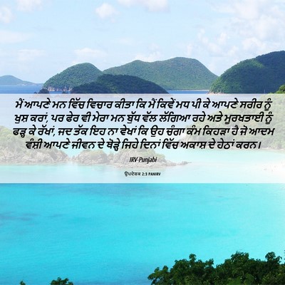 Picture 06 - ਉਪਦੇਸ਼ਕ 2:3 PANIRV - ਮੈਂ ਆਪਣੇ ਮਨ ਵਿੱਚ - Bible Verse Picture