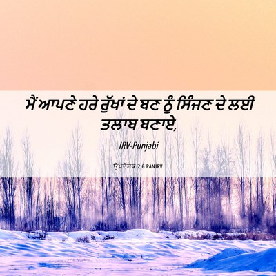 Picture 06 - ਉਪਦੇਸ਼ਕ 2:6 PANIRV - ਮੈਂ ਆਪਣੇ ਹਰੇ - Bible Verse Picture