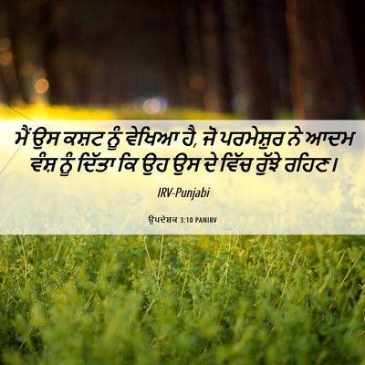 Picture 06 - ਉਪਦੇਸ਼ਕ 3:10 PANIRV - ਮੈਂ ਉਸ ਕਸ਼ਟ ਨੂੰ - Bible Verse Picture
