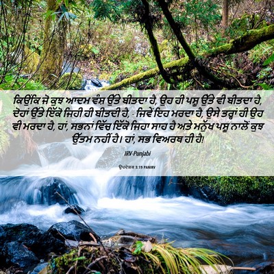 Picture 06 - ਉਪਦੇਸ਼ਕ 3:19 PANIRV - ਕਿਉਂਕਿ ਜੋ ਕੁਝ ਆਦਮ - Bible Verse Picture