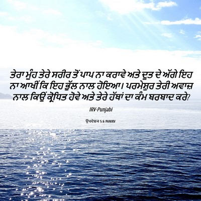 Picture 06 - ਉਪਦੇਸ਼ਕ 5:6 PANIRV - ਤੇਰਾ ਮੂੰਹ ਤੇਰੇ - Bible Verse Picture