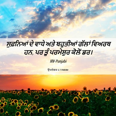 Picture 06 - ਉਪਦੇਸ਼ਕ 5:7 PANIRV - ਸੁਫ਼ਨਿਆਂ ਦੇ ਵਾਧੇ - Bible Verse Picture