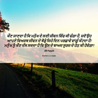 Picture 06 - ਉਪਦੇਸ਼ਕ 6:12 PANIRV - ਕੌਣ ਜਾਣਦਾ ਹੈ ਕਿ - Bible Verse Picture