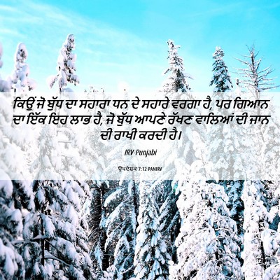 Picture 06 - ਉਪਦੇਸ਼ਕ 7:12 PANIRV - ਕਿਉਂ ਜੋ ਬੁੱਧ ਦਾ - Bible Verse Picture