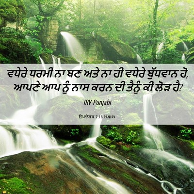 Picture 06 - ਉਪਦੇਸ਼ਕ 7:16 PANIRV - ਵਧੇਰੇ ਧਰਮੀ ਨਾ ਬਣ - Bible Verse Picture