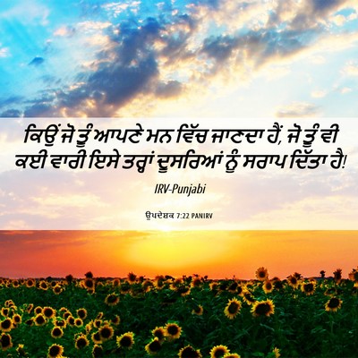 Picture 06 - ਉਪਦੇਸ਼ਕ 7:22 PANIRV - ਕਿਉਂ ਜੋ ਤੂੰ ਆਪਣੇ ਮਨ - Bible Verse Picture