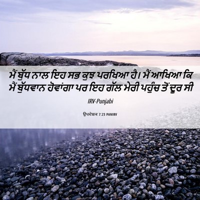 Picture 06 - ਉਪਦੇਸ਼ਕ 7:23 PANIRV - ਮੈਂ ਬੁੱਧ ਨਾਲ ਇਹ ਸਭ - Bible Verse Picture