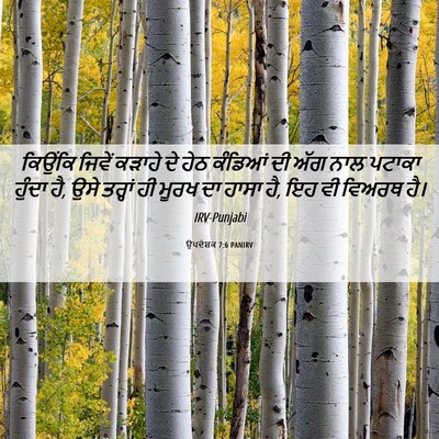 Picture 06 - ਉਪਦੇਸ਼ਕ 7:6 PANIRV - ਕਿਉਂਕਿ ਜਿਵੇਂ - Bible Verse Picture