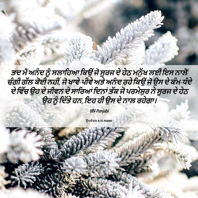 Picture 06 - ਉਪਦੇਸ਼ਕ 8:15 PANIRV - ਤਦ ਮੈਂ ਅਨੰਦ ਨੂੰ - Bible Verse Picture