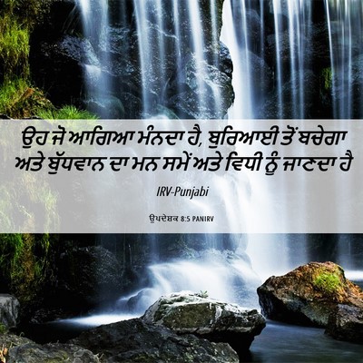 Picture 06 - ਉਪਦੇਸ਼ਕ 8:5 PANIRV - ਉਹ ਜੋ ਆਗਿਆ ਮੰਨਦਾ - Bible Verse Picture