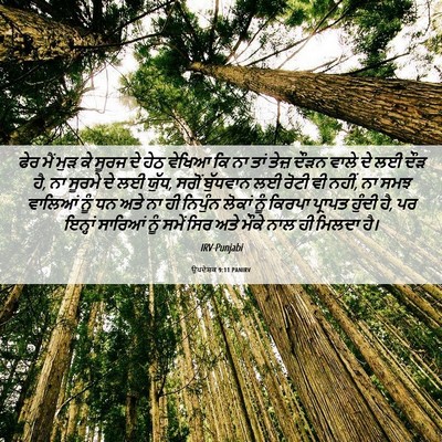 Picture 06 - ਉਪਦੇਸ਼ਕ 9:11 PANIRV - ਫੇਰ ਮੈਂ ਮੁੜ ਕੇ ਸੂਰਜ - Bible Verse Picture
