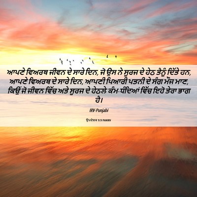 Picture 06 - ਉਪਦੇਸ਼ਕ 9:9 PANIRV - ਆਪਣੇ ਵਿਅਰਥ ਜੀਵਨ ਦੇ - Bible Verse Picture