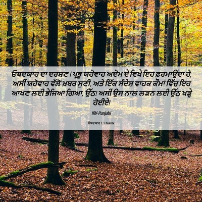 Picture 06 - ਓਬਦਯਾਹ 1:1 PANIRV - ਓਬਦਯਾਹ ਦਾ ਦਰਸ਼ਣ l - Bible Verse Picture
