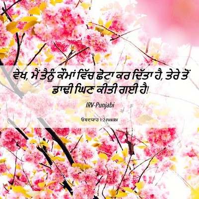 Picture 06 - ਓਬਦਯਾਹ 1:2 PANIRV - ਵੇਖ, ਮੈਂ ਤੈਨੂੰ - Bible Verse Picture