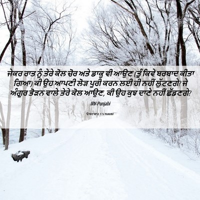 Picture 06 - ਓਬਦਯਾਹ 1:5 PANIRV - ਜੇਕਰ ਰਾਤ ਨੂੰ ਤੇਰੇ - Bible Verse Picture
