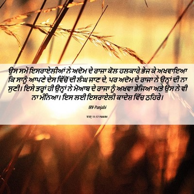 Picture 06 - ਕਜ਼ਾૃ 11:17 PANIRV - ਉਸ ਸਮੇਂ ਇਸਰਾਏਲੀਆਂ - Bible Verse Picture