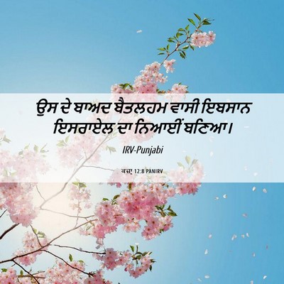 Picture 06 - ਕਜ਼ਾૃ 12:8 PANIRV - ਉਸ ਦੇ ਬਾਅਦ ਬੈਤਲਹਮ - Bible Verse Picture