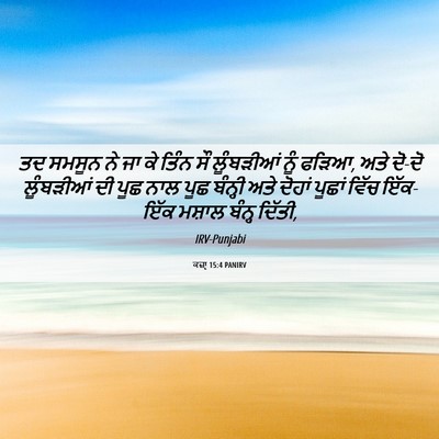 Picture 06 - ਕਜ਼ਾૃ 15:4 PANIRV - ਤਦ ਸਮਸੂਨ ਨੇ ਜਾ ਕੇ - Bible Verse Picture