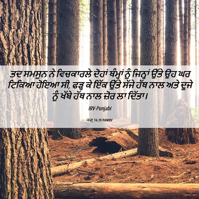 Picture 06 - ਕਜ਼ਾૃ 16:29 PANIRV - ਤਦ ਸਮਸੂਨ ਨੇ - Bible Verse Picture