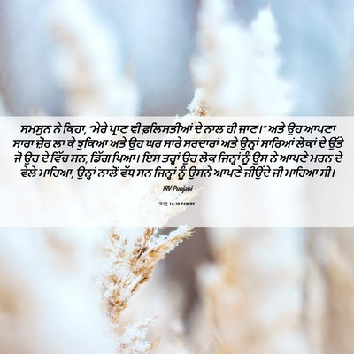 Picture 06 - ਕਜ਼ਾૃ 16:30 PANIRV - ਸਮਸੂਨ ਨੇ ਕਿਹਾ, - Bible Verse Picture