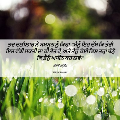 Picture 06 - ਕਜ਼ਾૃ 16:6 PANIRV - ਤਦ ਦਲੀਲਾਹ ਨੇ ਸਮਸੂਨ - Bible Verse Picture