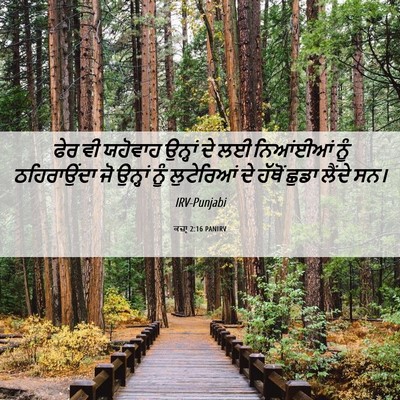 Picture 06 - ਕਜ਼ਾૃ 2:16 PANIRV - ਫੇਰ ਵੀ ਯਹੋਵਾਹ - Bible Verse Picture