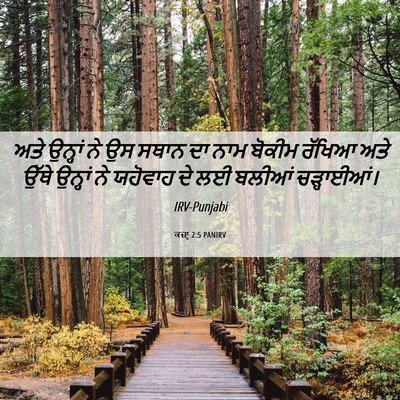 Picture 06 - ਕਜ਼ਾૃ 2:5 PANIRV - ਅਤੇ ਉਨ੍ਹਾਂ ਨੇ ਉਸ - Bible Verse Picture