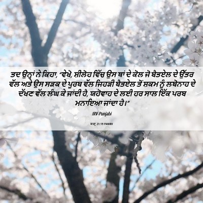 Picture 06 - ਕਜ਼ਾૃ 21:19 PANIRV - ਤਦ ਉਨ੍ਹਾਂ ਨੇ ਕਿਹਾ, - Bible Verse Picture