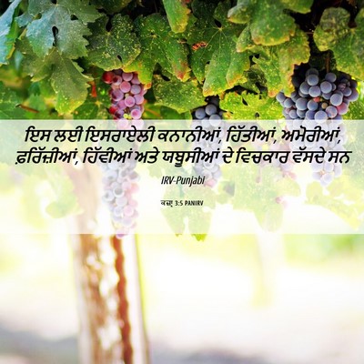 Picture 06 - ਕਜ਼ਾૃ 3:5 PANIRV - ਇਸ ਲਈ ਇਸਰਾਏਲੀ - Bible Verse Picture
