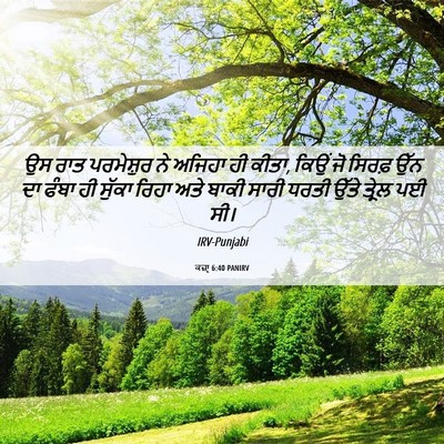 Picture 06 - ਕਜ਼ਾૃ 6:40 PANIRV - ਉਸ ਰਾਤ ਪਰਮੇਸ਼ੁਰ ਨੇ - Bible Verse Picture