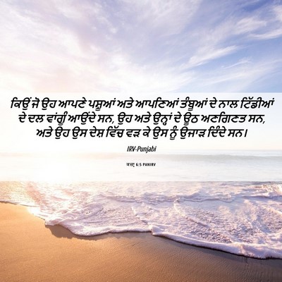 Picture 06 - ਕਜ਼ਾૃ 6:5 PANIRV - ਕਿਉਂ ਜੋ ਉਹ ਆਪਣੇ - Bible Verse Picture