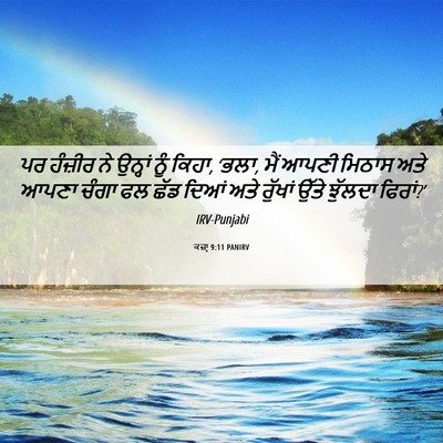 Picture 06 - ਕਜ਼ਾૃ 9:11 PANIRV - ਪਰ ਹੰਜ਼ੀਰ ਨੇ - Bible Verse Picture