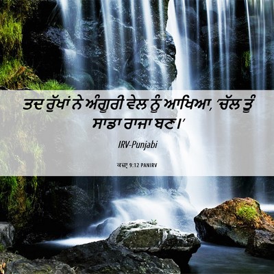 Picture 06 - ਕਜ਼ਾૃ 9:12 PANIRV - ਤਦ ਰੁੱਖਾਂ ਨੇ - Bible Verse Picture