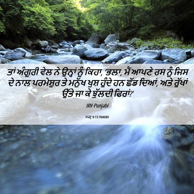 Picture 06 - ਕਜ਼ਾૃ 9:13 PANIRV - ਤਾਂ ਅੰਗੂਰੀ ਵੇਲ ਨੇ - Bible Verse Picture