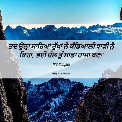 Picture 06 - ਕਜ਼ਾૃ 9:14 PANIRV - ਤਦ ਉਨ੍ਹਾਂ ਸਾਰਿਆਂ - Bible Verse Picture