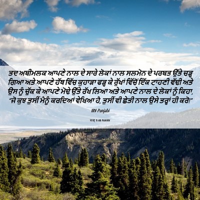 Picture 06 - ਕਜ਼ਾૃ 9:48 PANIRV - ਤਦ ਅਬੀਮਲਕ ਆਪਣੇ ਨਾਲ - Bible Verse Picture