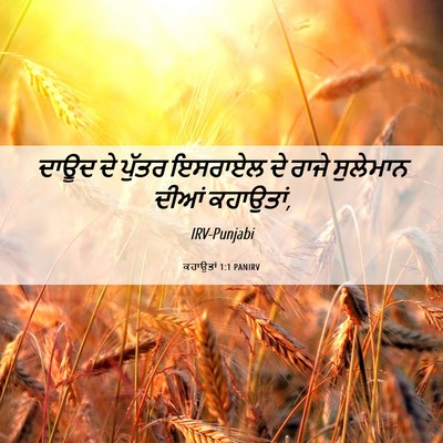 Picture 06 - ਕਹਾਉਤਾਂ 1:1 PANIRV - ਦਾਊਦ ਦੇ ਪੁੱਤਰ - Bible Verse Picture