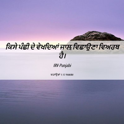 Picture 06 - ਕਹਾਉਤਾਂ 1:17 PANIRV - ਕਿਸੇ ਪੰਛੀ ਦੇ - Bible Verse Picture