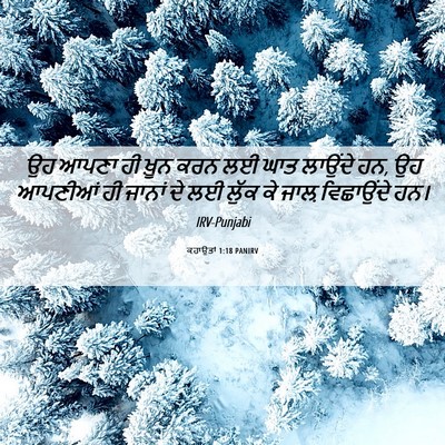 Picture 06 - ਕਹਾਉਤਾਂ 1:18 PANIRV - ਉਹ ਆਪਣਾ ਹੀ ਖ਼ੂਨ ਕਰਨ - Bible Verse Picture