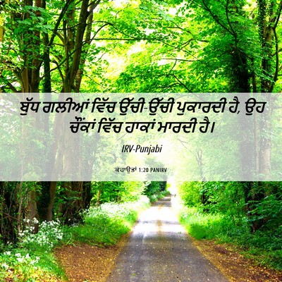 Picture 06 - ਕਹਾਉਤਾਂ 1:20 PANIRV - ਬੁੱਧ ਗਲੀਆਂ ਵਿੱਚ - Bible Verse Picture