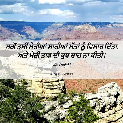 Picture 06 - ਕਹਾਉਤਾਂ 1:25 PANIRV - ਸਗੋਂ ਤੁਸੀਂ ਮੇਰੀਆਂ - Bible Verse Picture