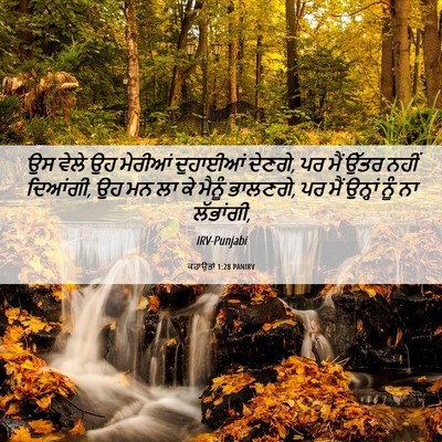 Picture 06 - ਕਹਾਉਤਾਂ 1:28 PANIRV - ਉਸ ਵੇਲੇ ਉਹ ਮੇਰੀਆਂ - Bible Verse Picture