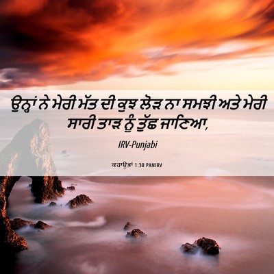 Picture 06 - ਕਹਾਉਤਾਂ 1:30 PANIRV - ਉਨ੍ਹਾਂ ਨੇ ਮੇਰੀ ਮੱਤ - Bible Verse Picture