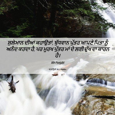 Picture 06 - ਕਹਾਉਤਾਂ 10:1 PANIRV - ਸੁਲੇਮਾਨ ਦੀਆਂ - Bible Verse Picture