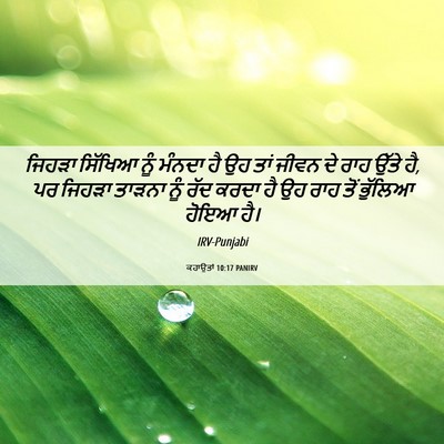 Picture 06 - ਕਹਾਉਤਾਂ 10:17 PANIRV - ਜਿਹੜਾ ਸਿੱਖਿਆ ਨੂੰ - Bible Verse Picture
