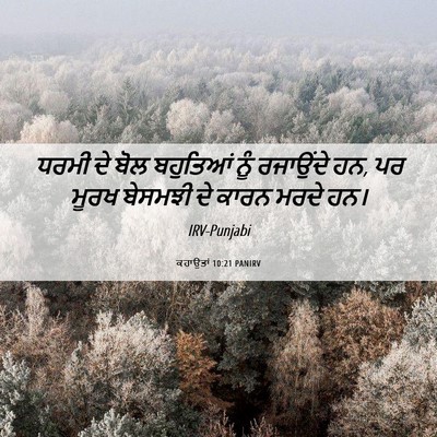 Picture 06 - ਕਹਾਉਤਾਂ 10:21 PANIRV - ਧਰਮੀ ਦੇ ਬੋਲ - Bible Verse Picture
